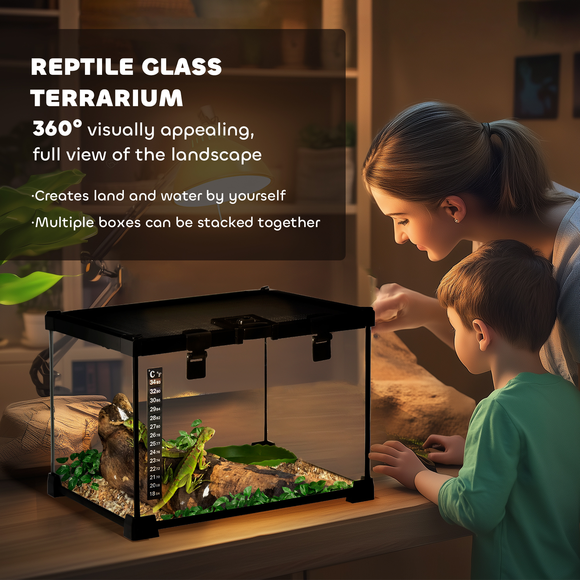 The Glasshouse Bioactive Terrarium Tank - Image 2