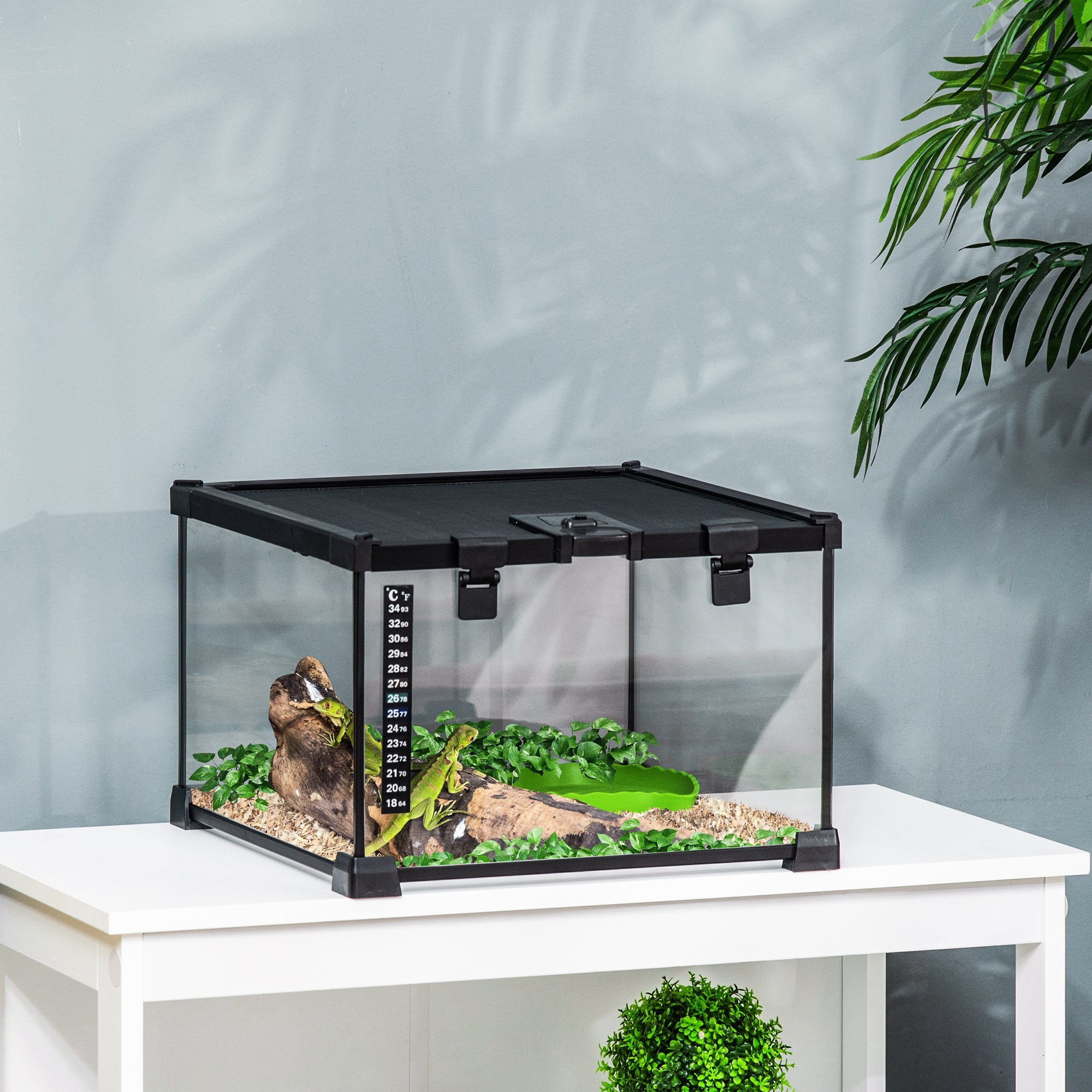 The Glasshouse Bioactive Terrarium Tank - Image 4