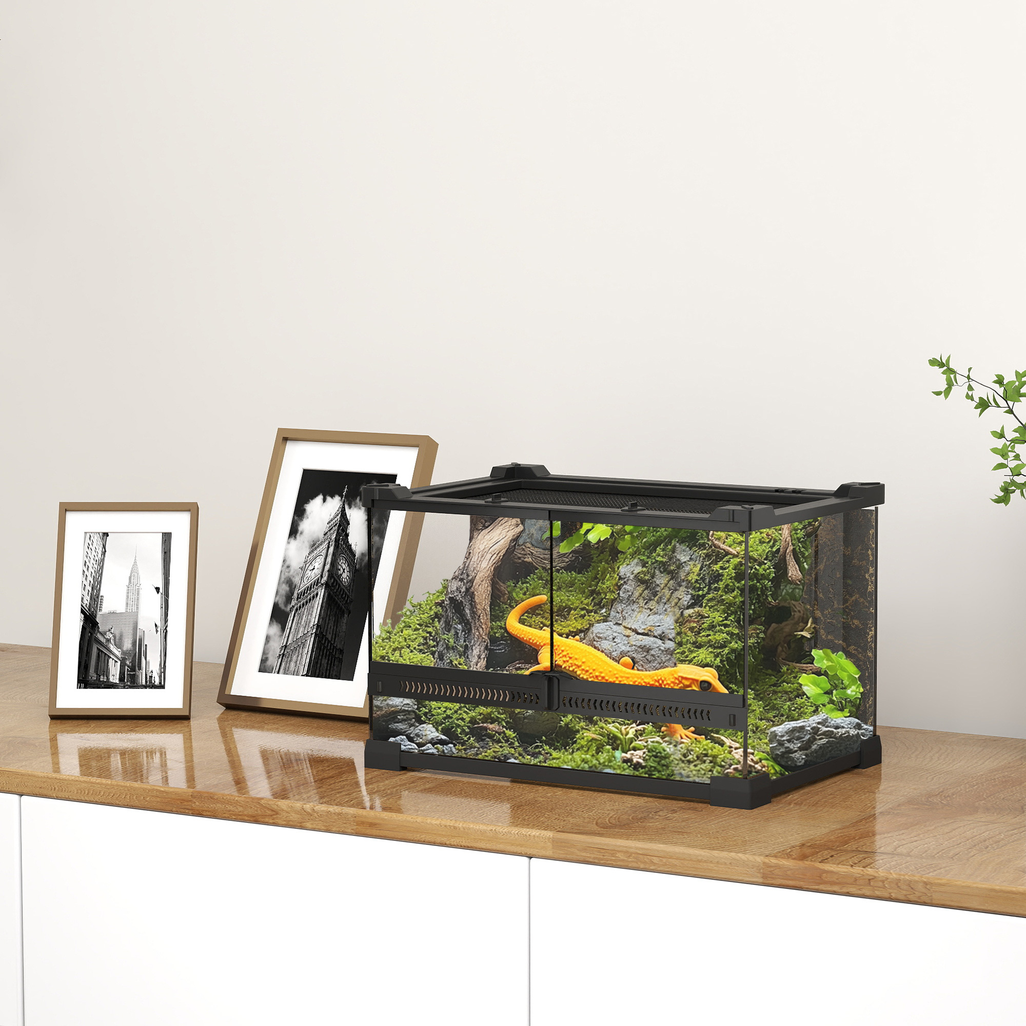 The Glasshouse Mini Bioactive Terrarium Tank (10L) - Image 3
