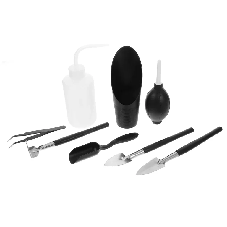 Terrarium Tools: What You Actually Need