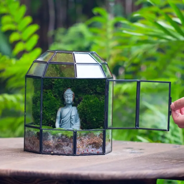 Terrarium Maintenance: A Simple Long-Term Care Routine