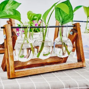 The Propagation Stand Glass & Wood Display