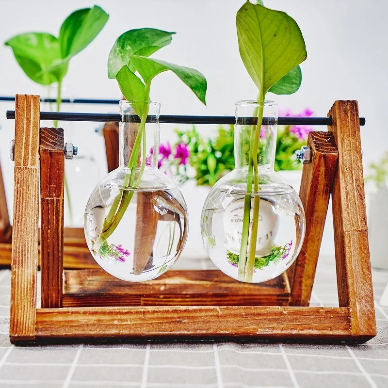 The Propagation Stand Glass & Wood Display - Image 2
