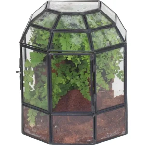 The Lantern Geometric Glass Terrarium