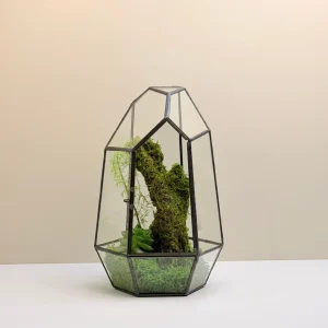 The Trio Mini Gold Terrarium Set (Set of 3)