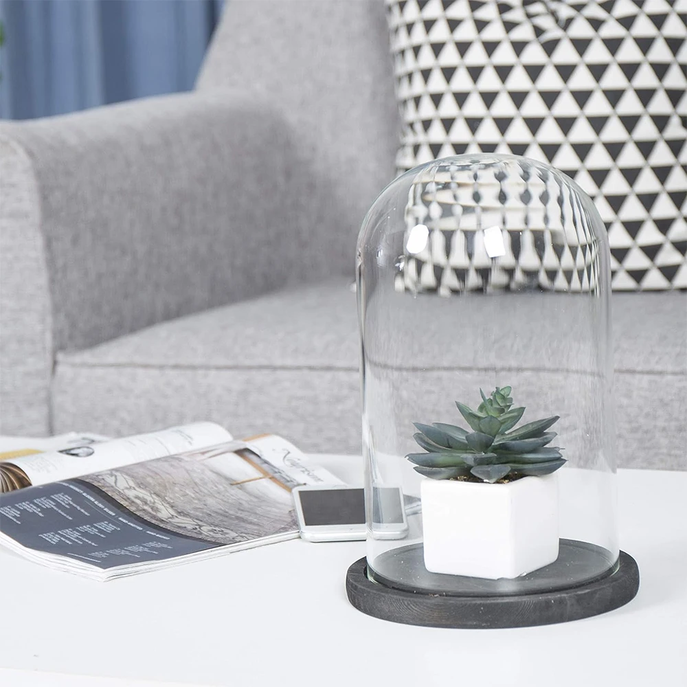 The Bell Cloche Glass Display Dome