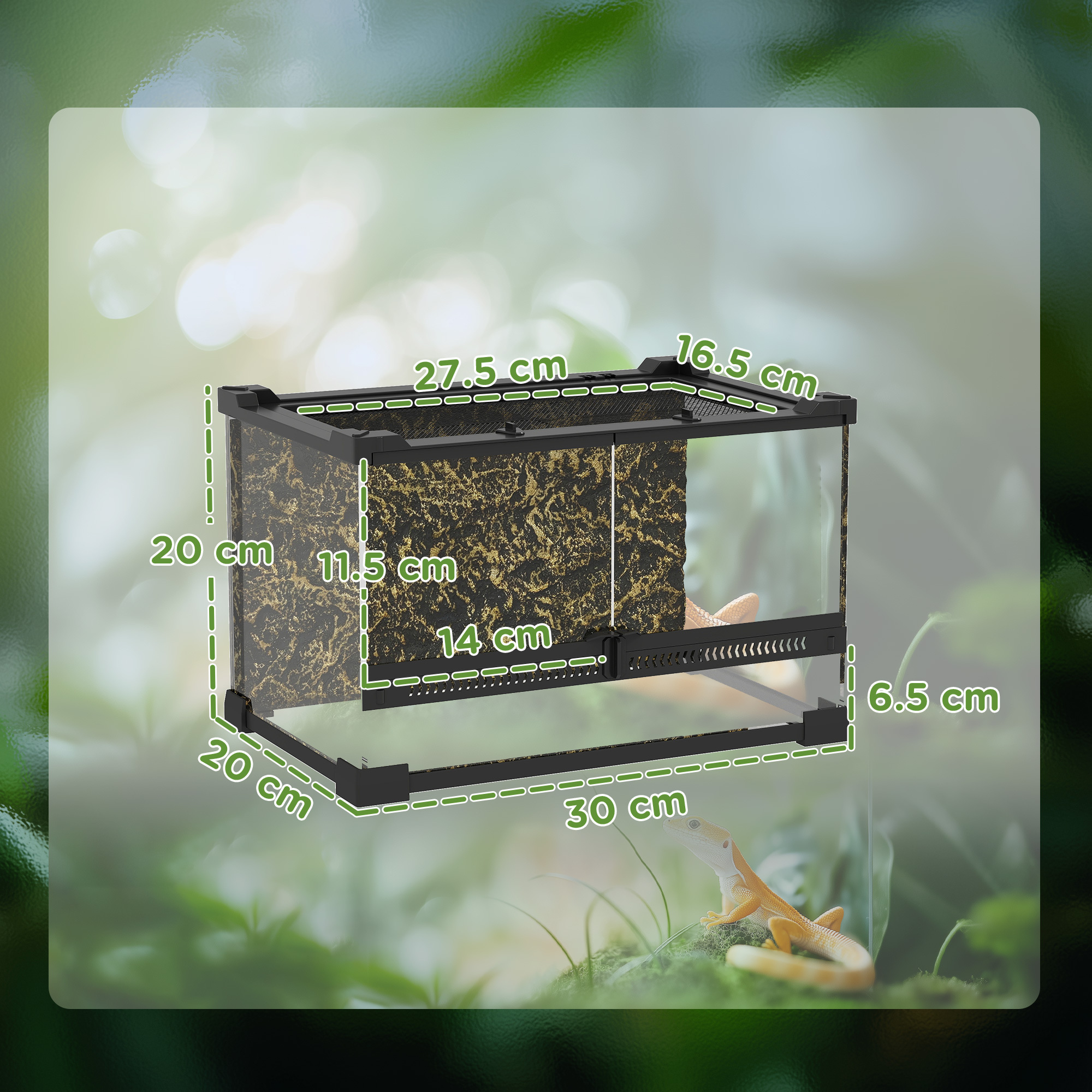 The Glasshouse Mini Bioactive Terrarium Tank (10L) - Image 4