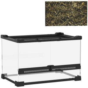 The Glasshouse Mini Bioactive Terrarium Tank (10L)