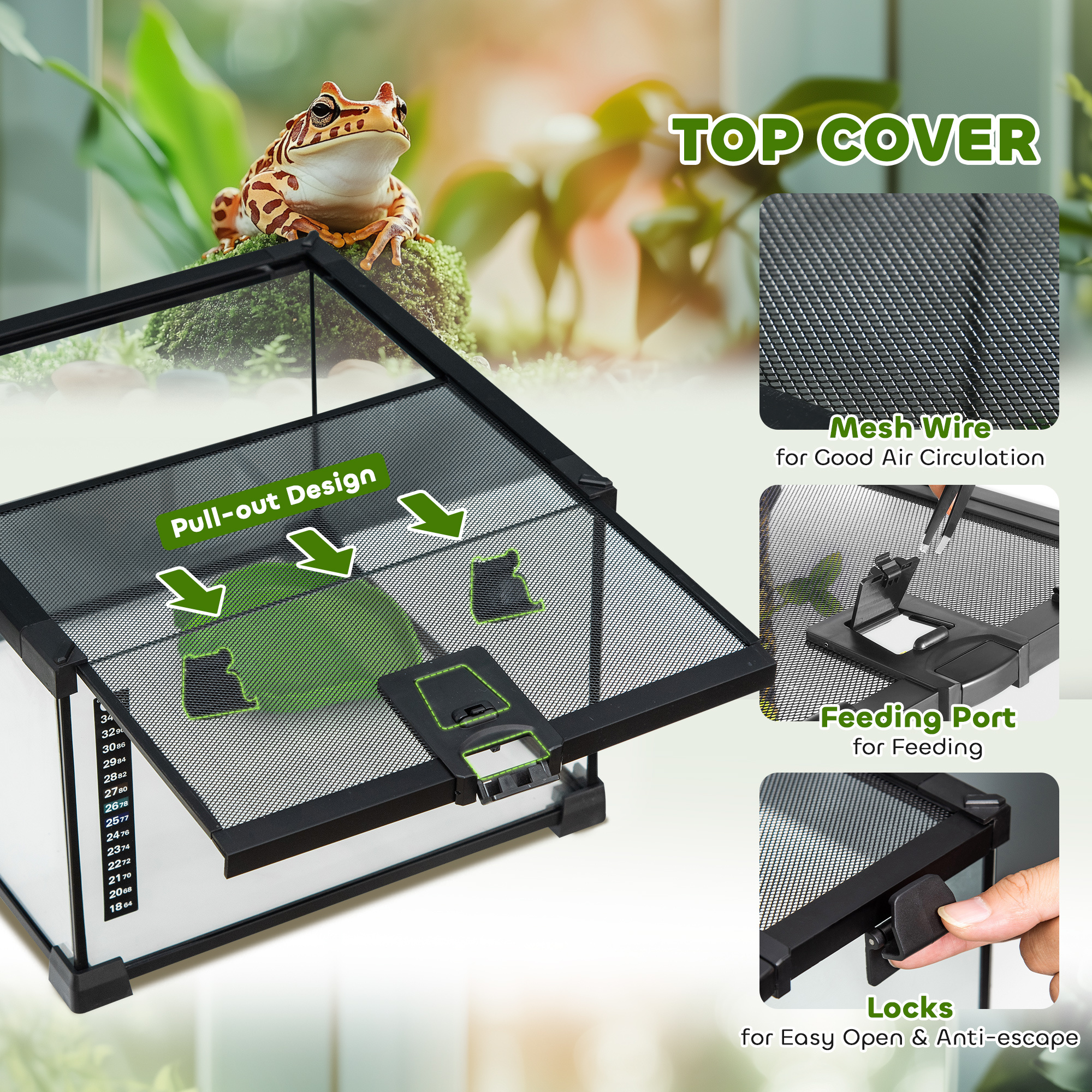 The Glasshouse Bioactive Terrarium Tank - Image 5