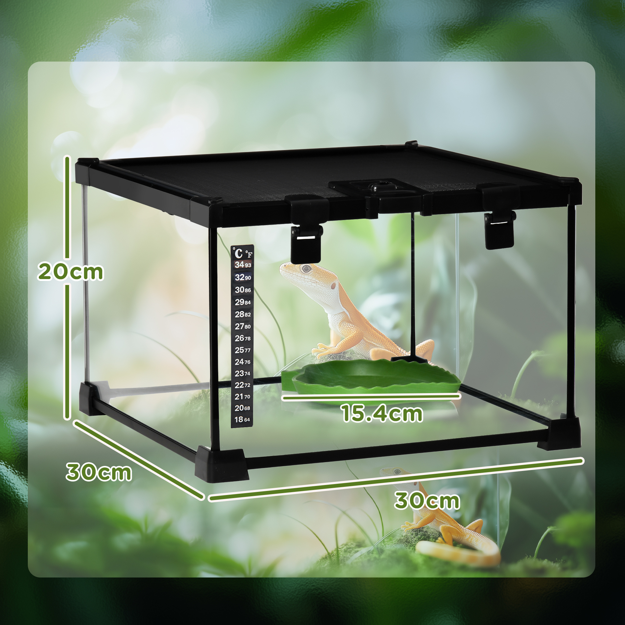 The Glasshouse Bioactive Terrarium Tank - Image 3