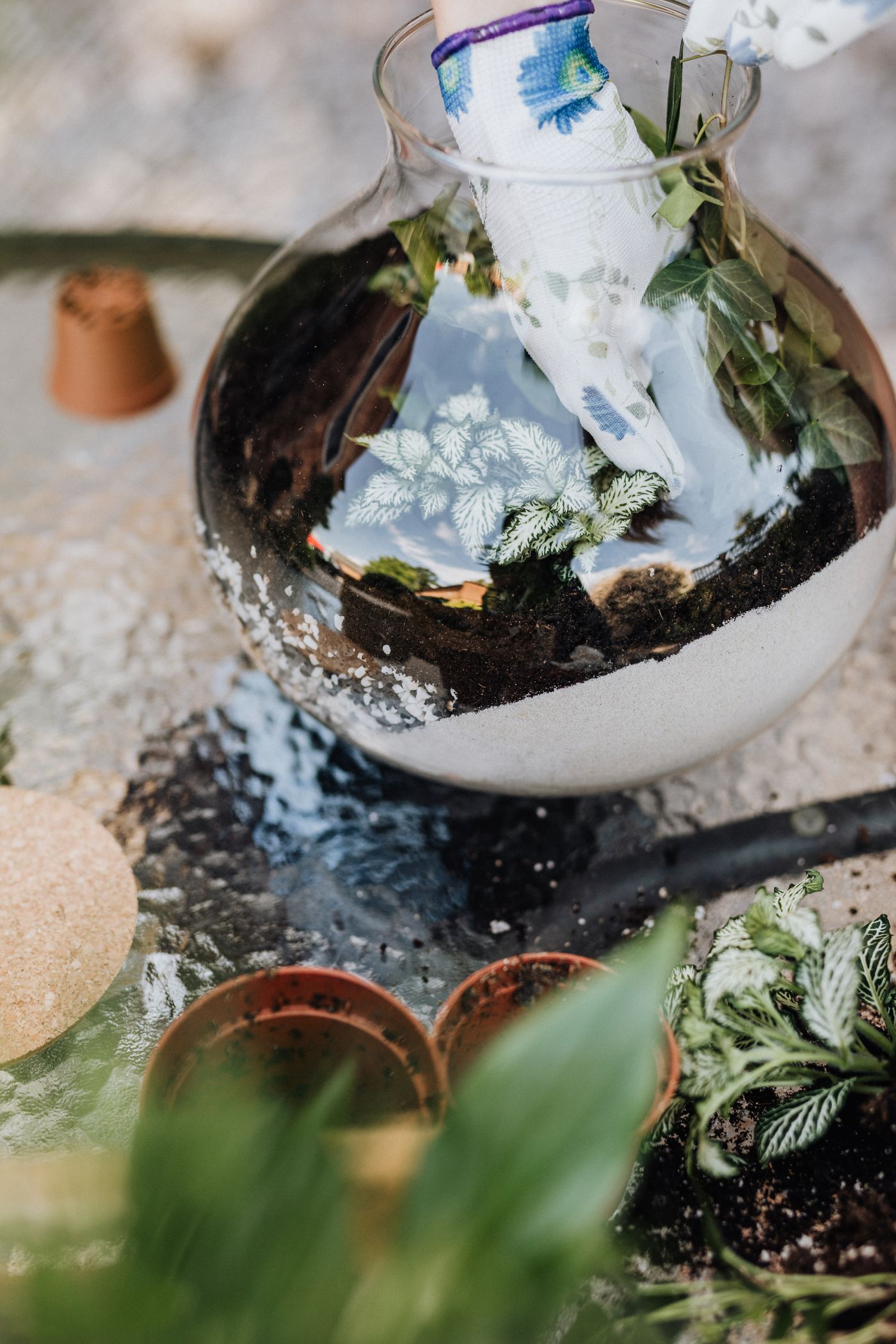 Hands assembling a terrarium inside a round glass bowl surrounded by plants