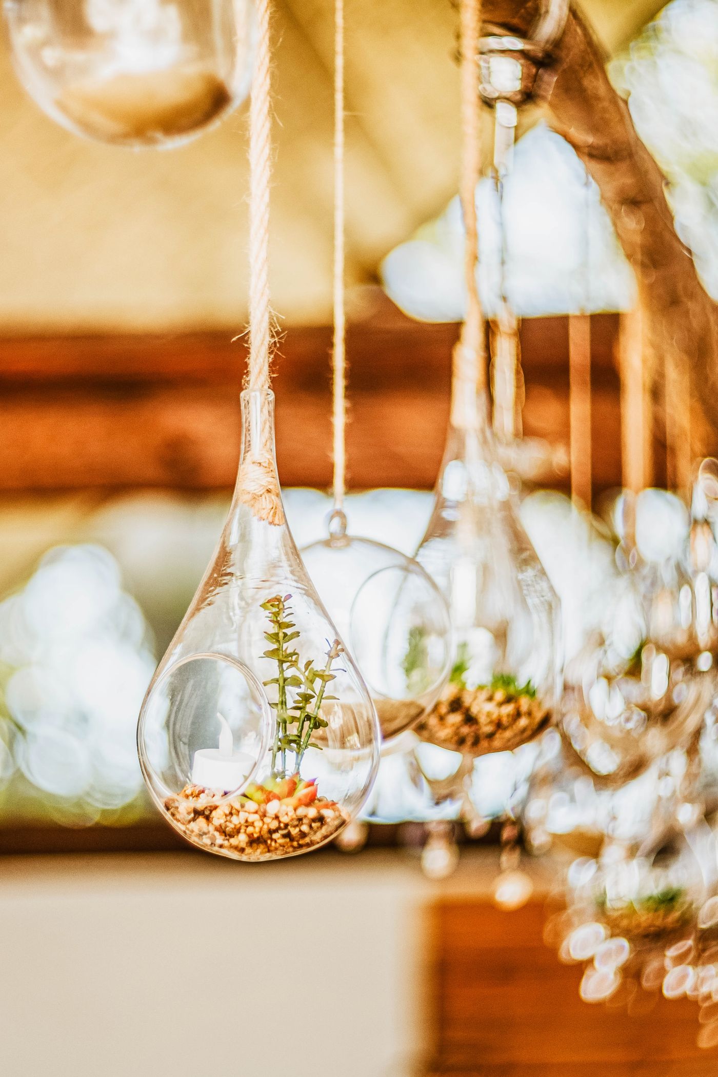 Hanging glass terrariums in warm light