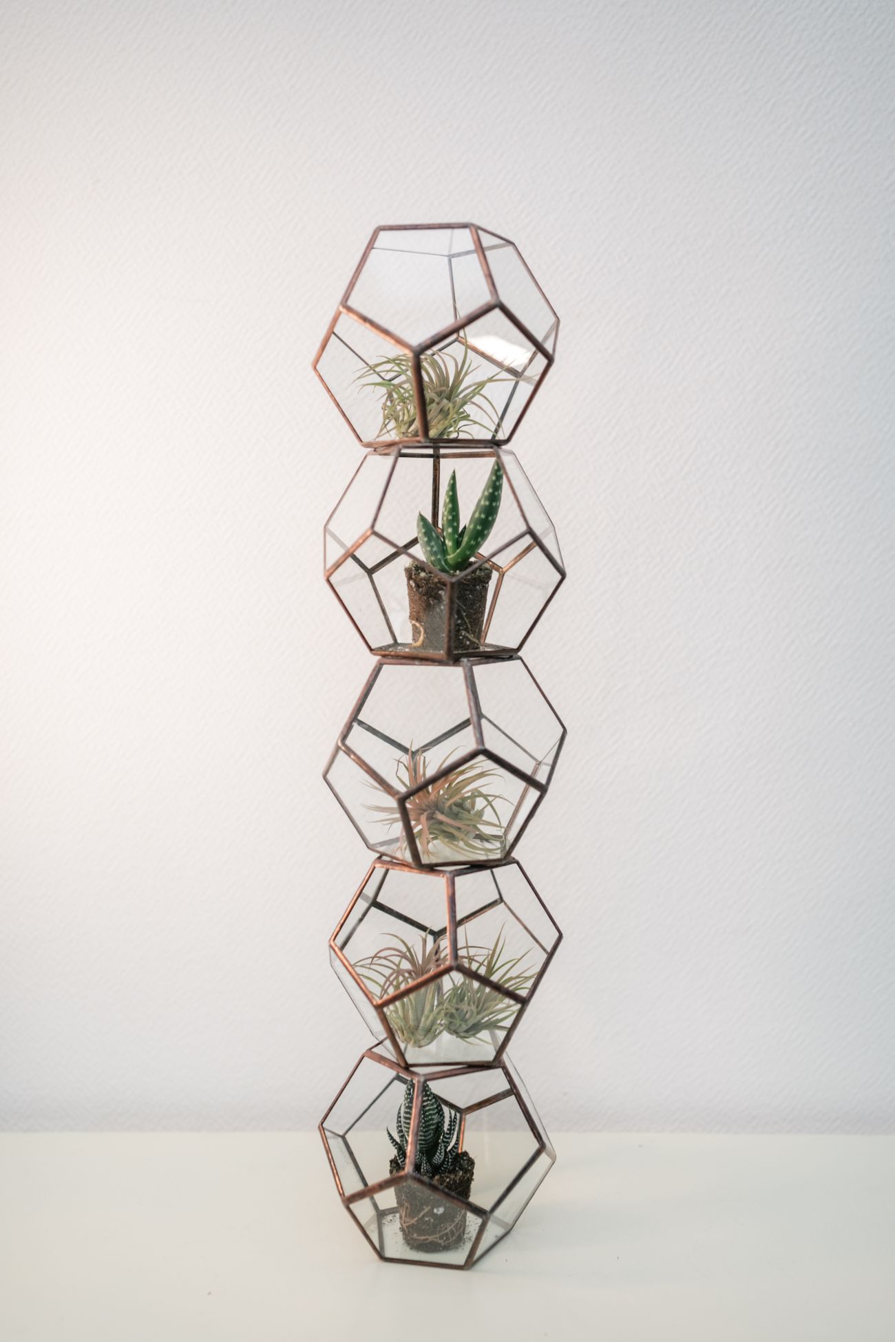 Stack of copper edged geometric terrariums with air plants